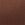 Brown Body by Victoria Lightly Lined Comfort Bra in Smooth