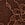 Brown Lace-Up Lace Thong Panty in Lace